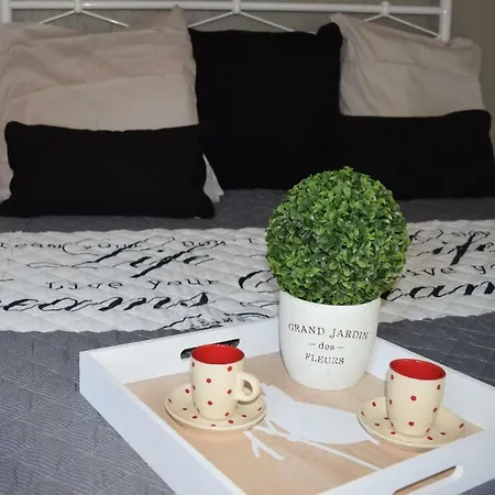 Vue Cité Médiévale Apartamento